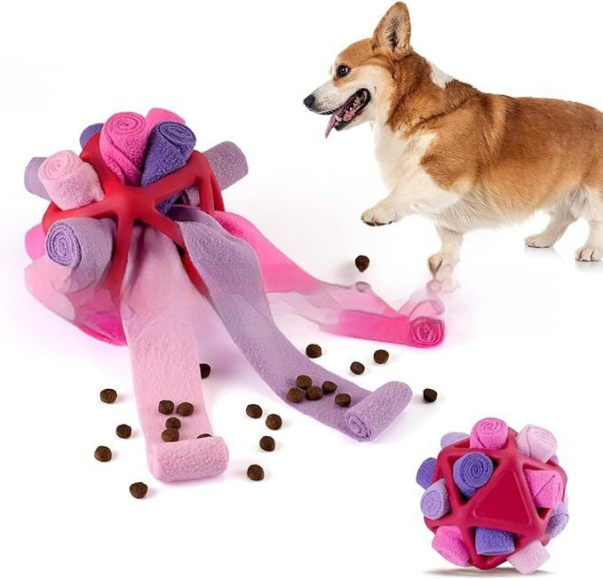 Interactive Toy for Pet