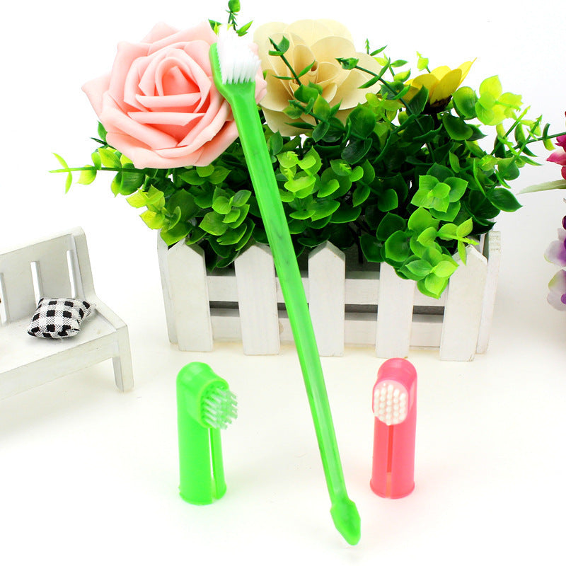 Pet Toothbrush Three-piece Set with Double-headed