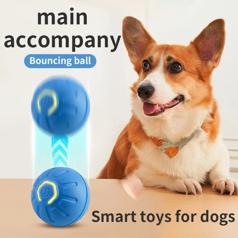 Smart Interactive Dog Toy