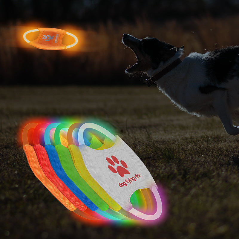 Dog Flying Discs Light Glowing LED Success