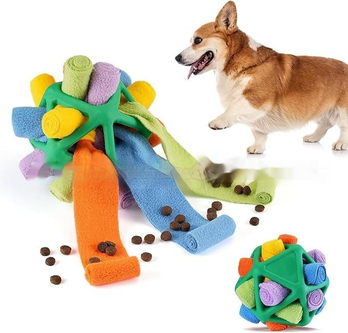 Interactive Toy for Pet