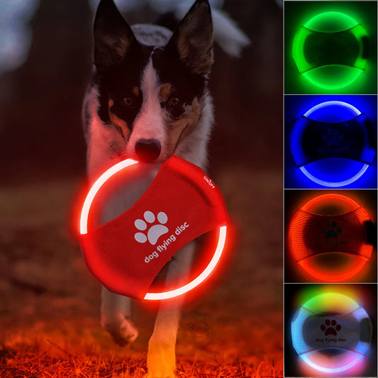 Dog Flying Discs Light Glowing LED Success