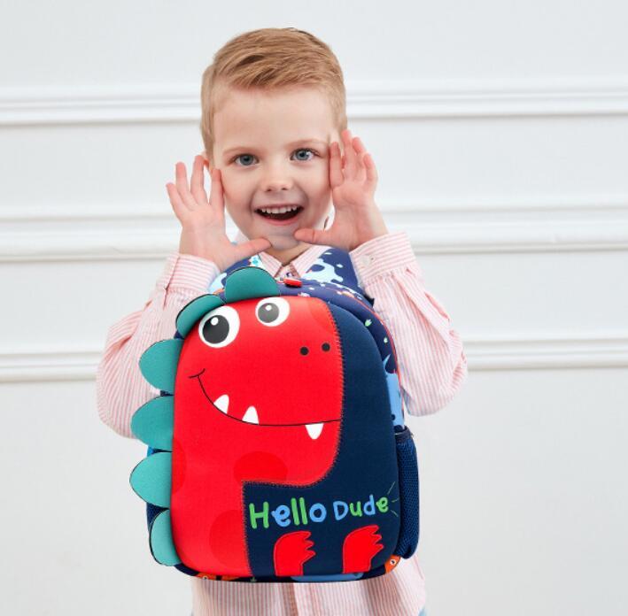 Dinosaur School Bag