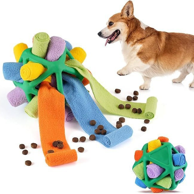 Interactive Toy for Pet