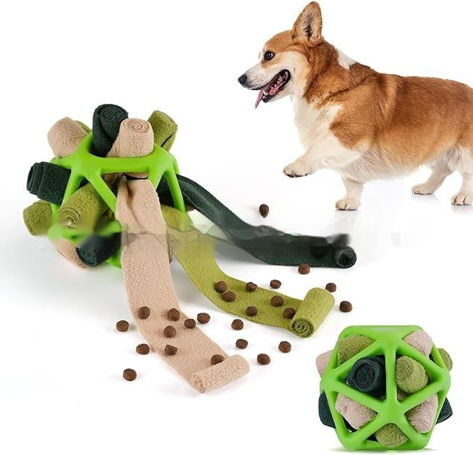 Interactive Toy for Pet