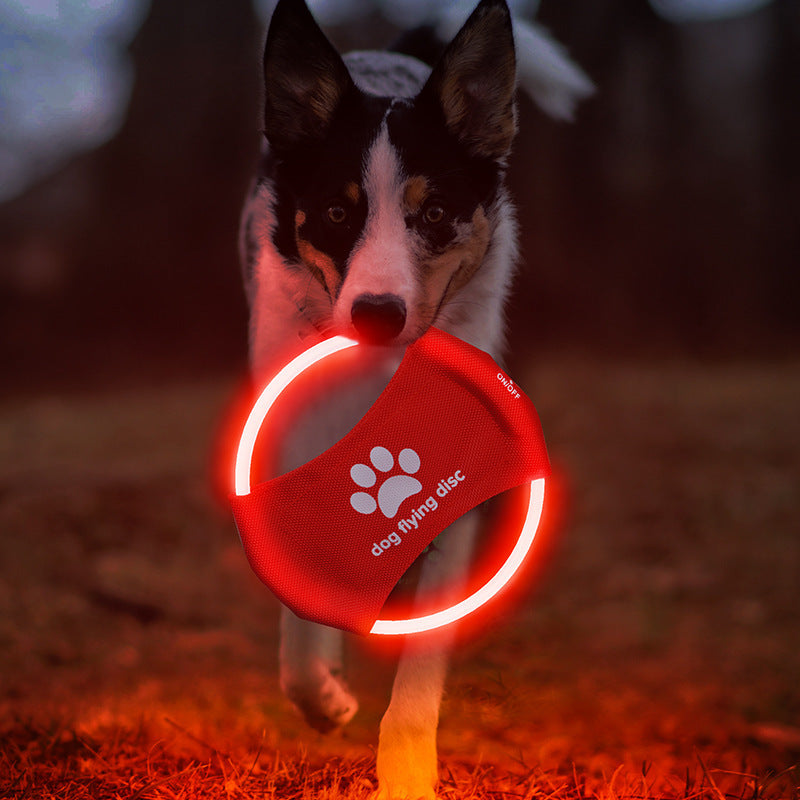 Dog Flying Discs Light Glowing LED Success