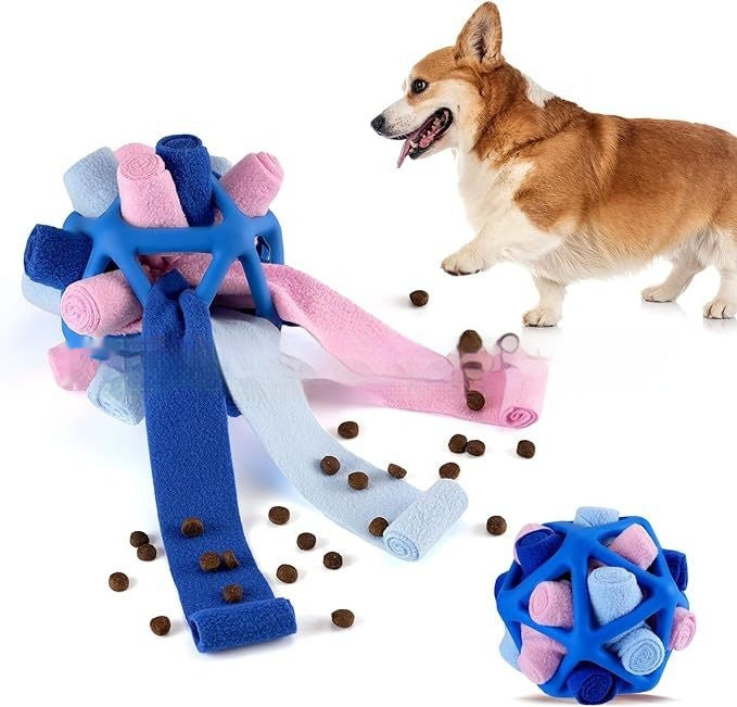 Interactive Toy for Pet