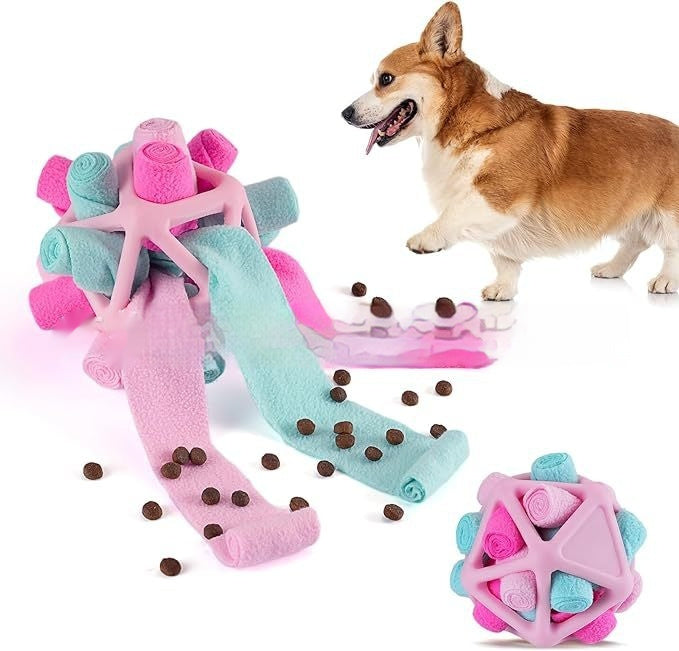 Interactive Toy for Pet