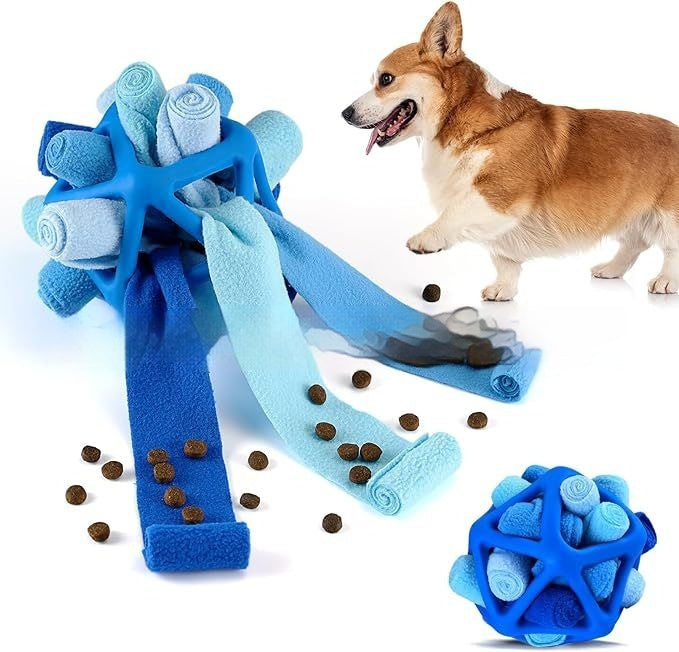 Interactive Toy for Pet