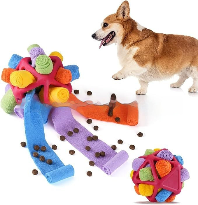 Interactive Toy for Pet